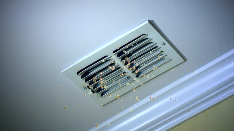 Professional Airduct Cleaning in Mission Viejo, CA